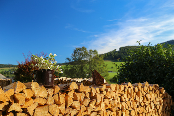 Garten im Appartement Bergblick