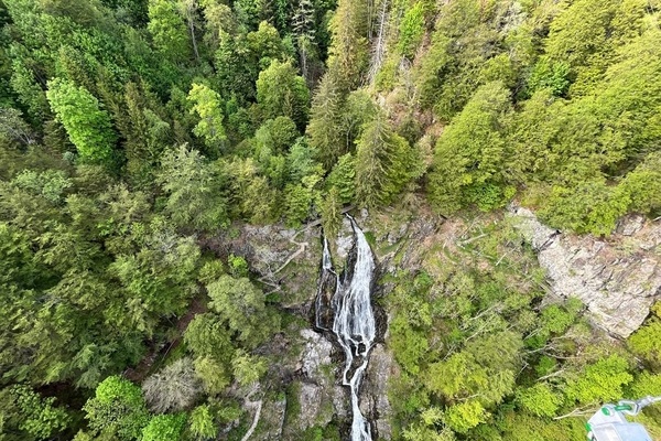 Highlight: H�ngebr�cke BlackforestLine am Ortseingang von Todtnauberg mit spektakul�rem Blick auf den Wasserfall
