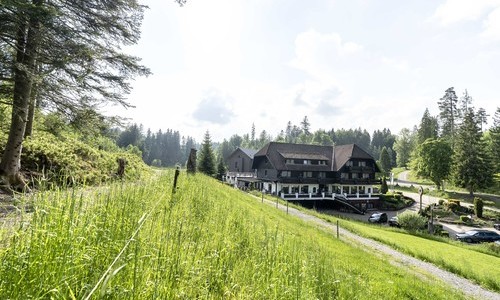 Hotel Restaurant "Waldsgmhle" (Pfalzgrafenweiler-Klberbronn)