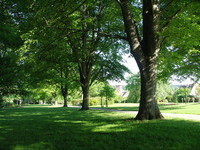 Kurpark Sch�mberg (Bildnachweis: Touristik und Kur Sch�mberg)