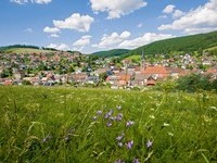 Stadtansicht Vhrenbach (Bildnachweis: Tourist-Info Vhrenbach )