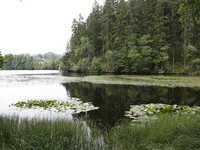 Schlchtsee (Bildnachweis: Tourist-Information Grafenhausen)