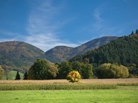 Mit freundlicher Genehmigung der Ferienregion Mnstertal Staufen (Bildnachweis: Mit freundlicher Genehmigung der Ferienregion Mnstertal Staufen)