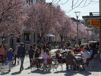  (Bildnachweis: �schulte-kellinghaus)