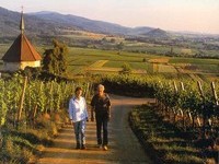  (Bildnachweis:  Mit freundlicher Genehmigung der Kur und B�der GmbH Bad Krozingen)