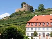 (Bildnachweis: Mit freundlicher Genehmigung der Stadt Kenzingen) (Bildnachweis: Mit freundlicher Genehmigung der Stadt Kenzingen)