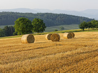 (Bildnachweis: Schulte Kellinghaus) (Bildnachweis: Schulte Kellinghaus)