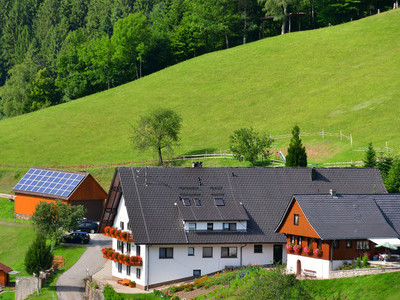 Ferienhäuser im Schwarzwald