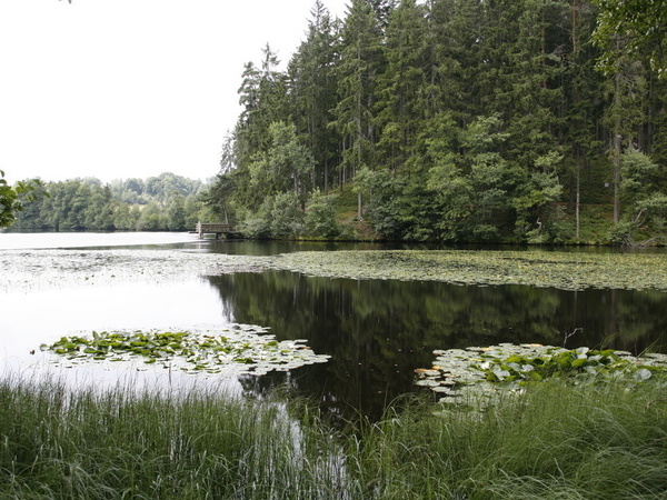  Bildnachweis: Mit freundlicher Genehmigung der Touristinfo Grafenhausen 