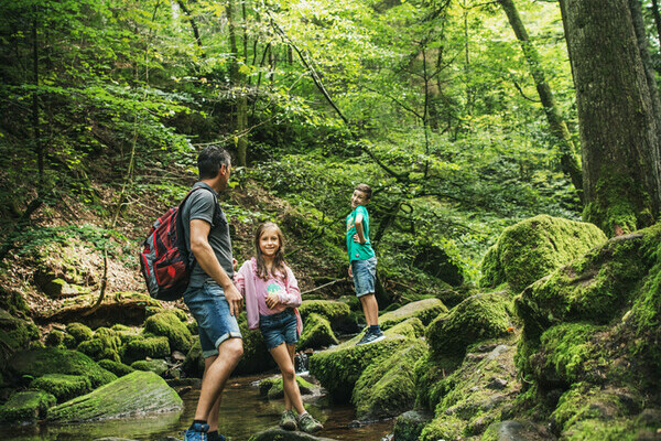 Familie im Monbachtal Copyright: (Locher Fotodesign & Manufaktur)