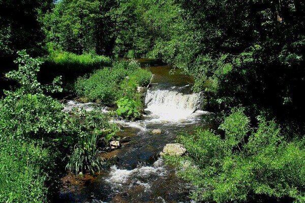 Haslachschlucht Copyright: (Mit freundlicher Genehmigung der Hochschwarzwald Tourismus GmbH | &copy; Haderer)