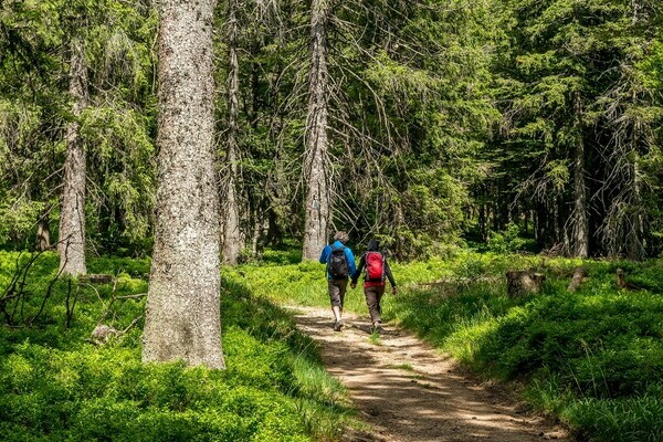  Bildnachweis: Mit freundlicher Genehmigung Tourist Information Bernau