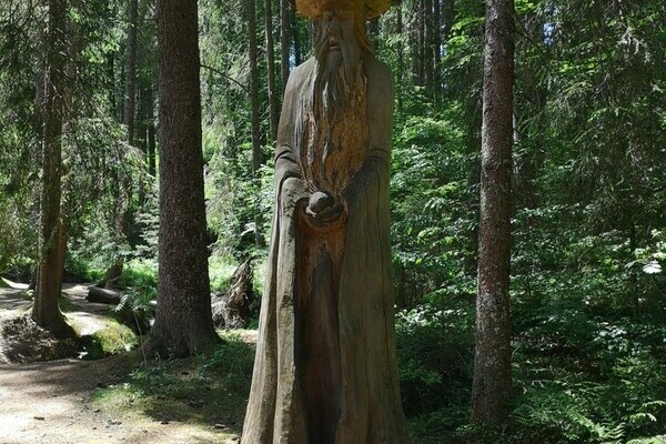 Zauberwaldpfad Bernau-Oberlehen Copyright: (4ws-netdesign GbR) Zauberwaldpfad Bernau-Oberlehen Copyright: (4ws-netdesign GbR)