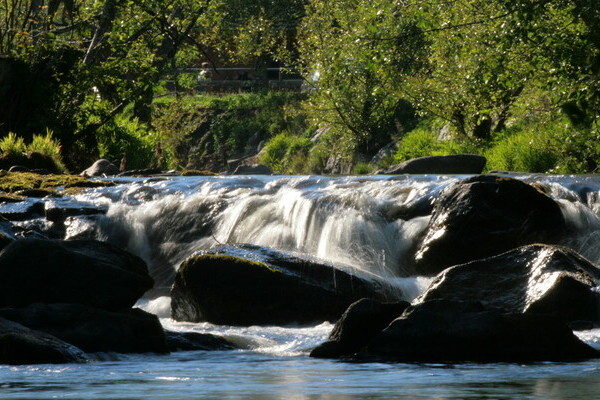 An der Alb Bildnachweis: Ute Maier