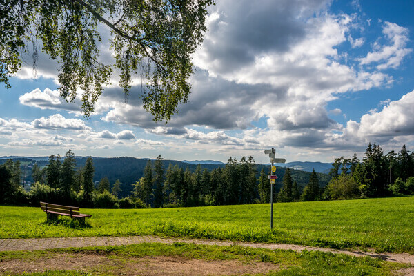 Schinkenweg Aussicht Bildnachweis:  Tourist-Information Hchenschwand, Fotograf Klaus Hansen