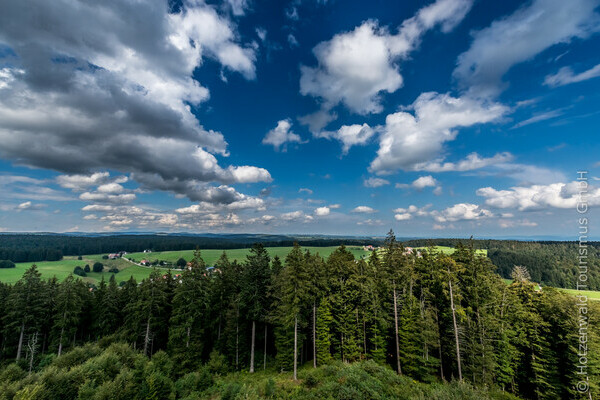 Ausblick vom Gugelturm in Herrischried Bildnachweis: Mit freundlicher Genehmigung der Hotzenwald Tourismus GmbH