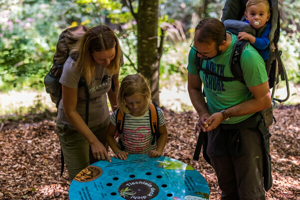 Wolfspfad Bildnachweis:  Tourist-Information Hchenschwand, Fotograf Klaus Hansen