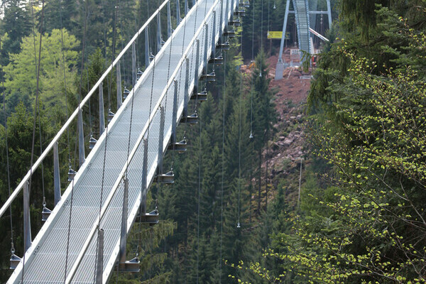 Wildline Hngeseilbrcke Bildnachweis: Hotel Rothfuss Bad Wildbad