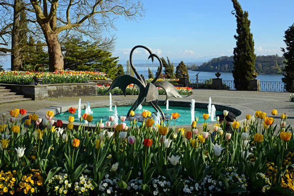 Tulpen Brunnenarena Bildnachweis:  Mainau GmbH