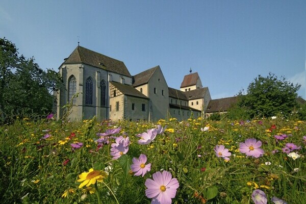  Bildnachweis:  Tourist-Information Reichenau