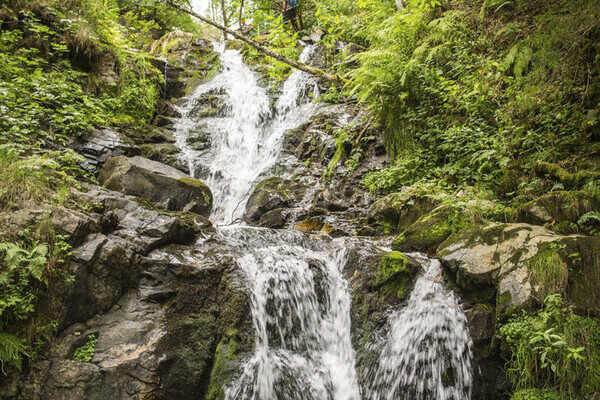 Todtnauer Wasserflle Bildnachweis: Hochschwarzwald Tourismus GmbH 