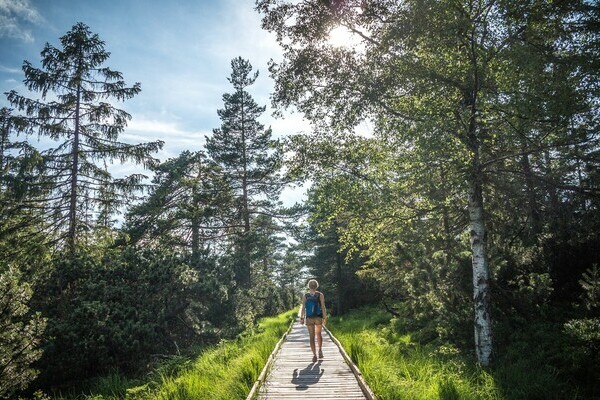 Wildsee Kaltenbronn Bildnachweis: Tourismus GmBh Nrdlicher Schwarzwald, Alex Kijak